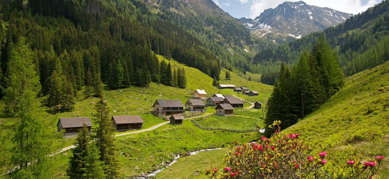 Tuchmoaralm Tuchmoaralm