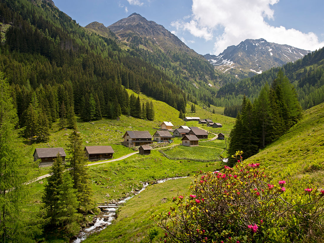 Tuchmoaralm